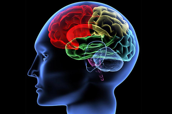 Χρειάζεται ο εγκέφαλος υδατάνθρακες;