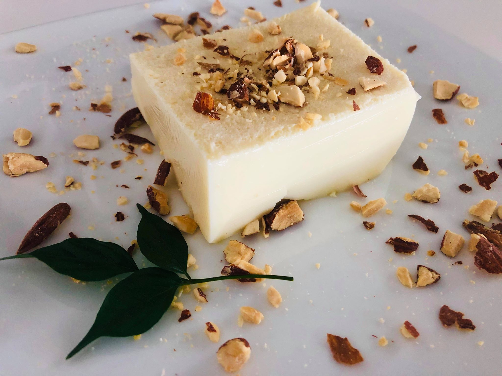 Πανακότα μαστίχα